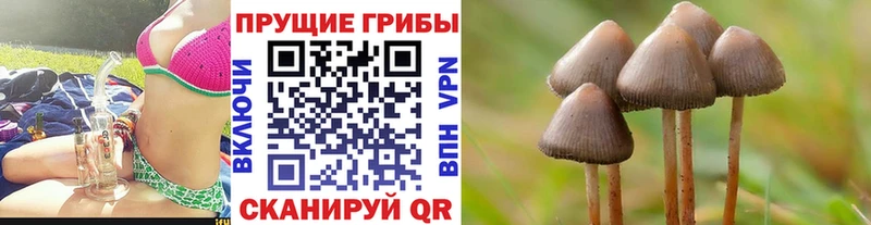 Псилоцибиновые грибы MAGIC MUSHROOMS  Купить где  Вологда 